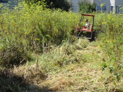 tractorday01