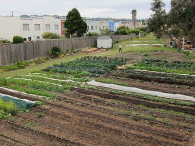 cotter farm02 - june2011